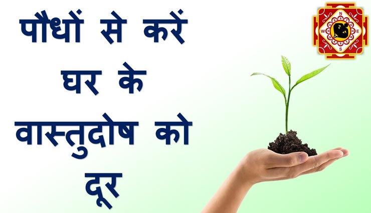 वास्तुदोष से बचाएंगे आपको वृक्ष, जानें ये जरूरी बातें