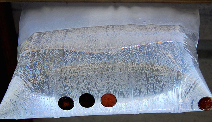 irritated with houseflies try these natural tips