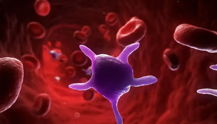 papaya leaves benefits,health benefits of papaya leaves,papaya leaf juice for immunity,papaya leaves for digestion,papaya leaves for dengue,natural remedies with papaya leaves,papaya leaves for liver health,papaya leaves for platelet count,papaya leaves for skin and hair,papaya leaves for diabetes and hypertension