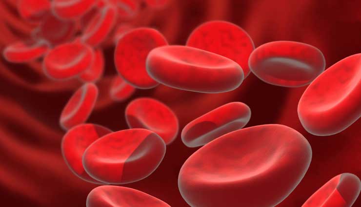 15 Foods That Will Help You Increase Platelet Count 