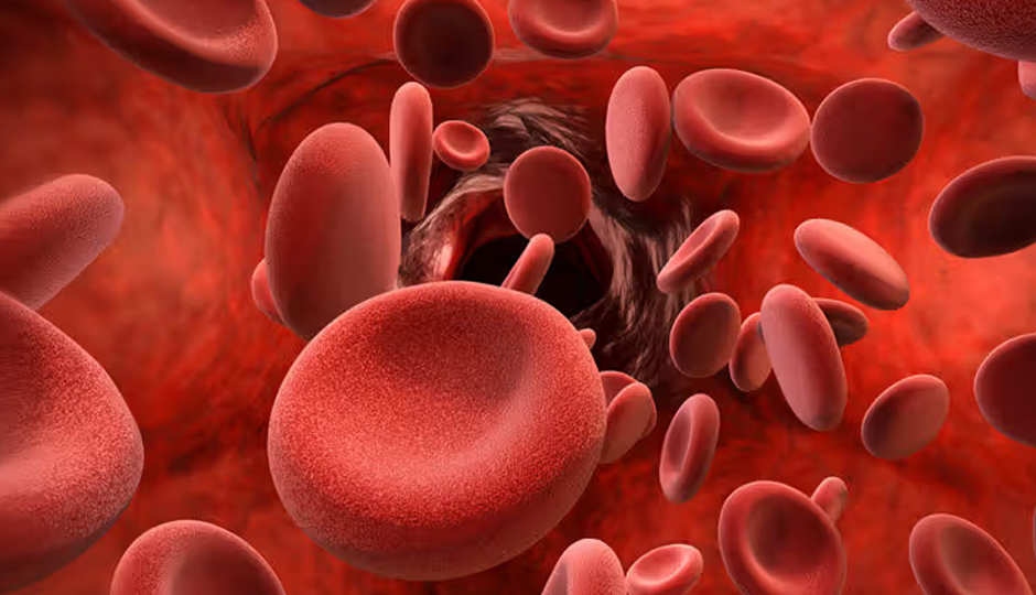 15 Natural Ingredients To Improve Your Platelet Count