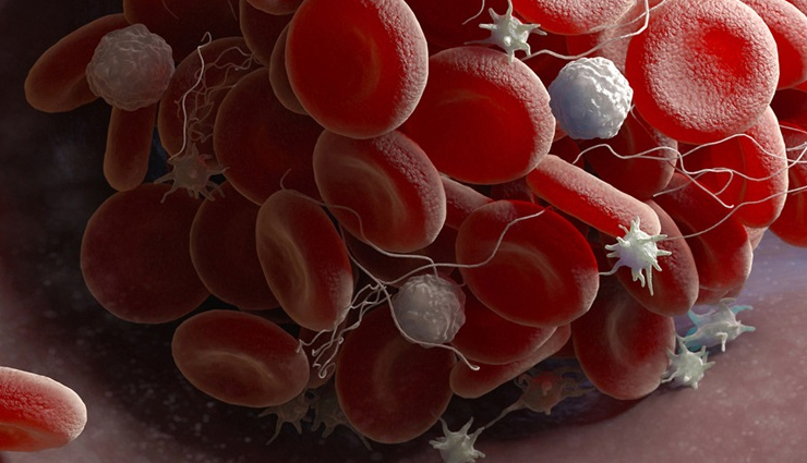 dengue,home remedies to rescue from dengue,dengue treatment at home,Health,Health tips,dengue ke upay