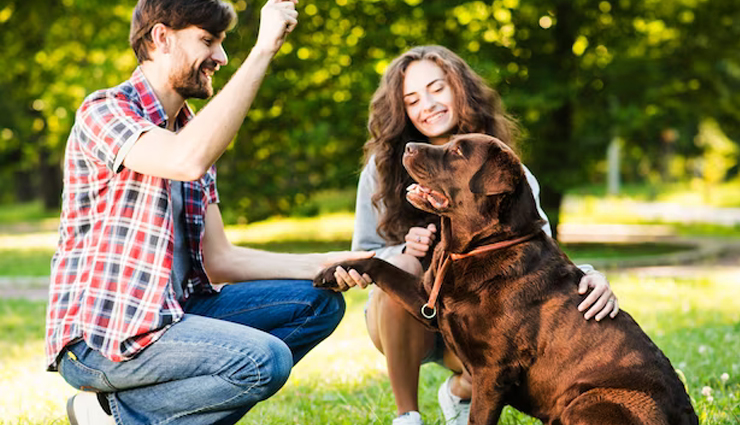 soulmates and unconventional signs,unusual soulmate indicators,peculiar signs of soulmates,identifying a soul connection,cosmic bond in relationships,profound emotional connection signs,unconventional soul connection signs,extraordinary bond indicators,soulmates and parallel dreams,identical thoughts in relationships,comfort levels in soul connections,spiritual bonds in relationships,emotional alignment in soulmates,unique communication styles in relationships,animal intuition and soulmates,childhood imaginary friends in relationships,repeating numbers and symbols in soul connections,niche shared interests in soulmates