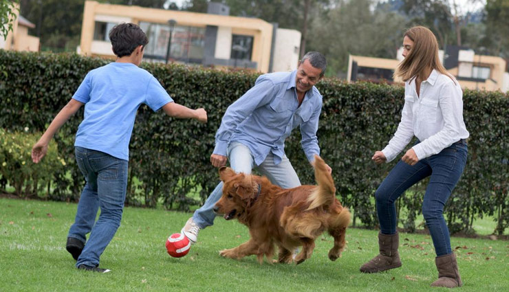 अध्ययन : पालतू जानवरों के साथ बिताया 10 मिनट का समय करता है तनाव को कम