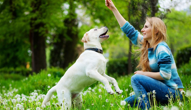 breakup,100 tips,100 tips to help you to move on breakup,breakup tips,relationship,relationship tips