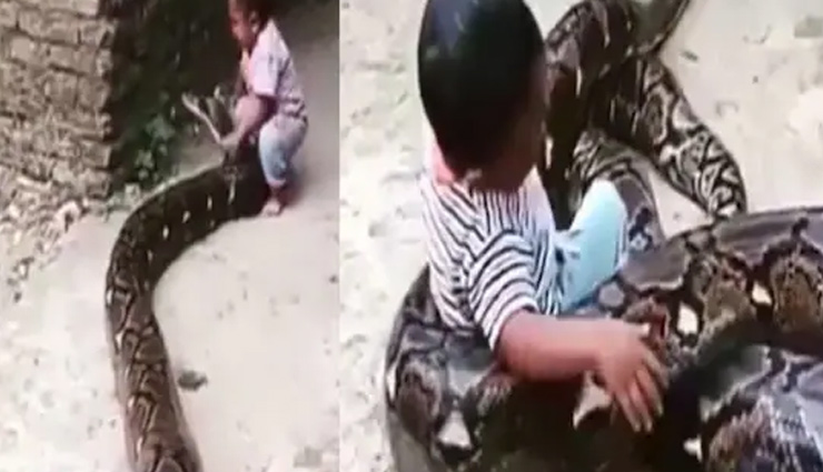 10 फीट के अजगर से खेलता दिखा दो साल का बच्चा, वीडियो देख लोग बोले - इसे मां-बाप की बेवकूफी कहें या कुछ और... 