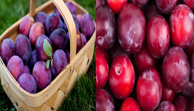 benefits of eating plum,Health tips,tips to eating plum,Health,healthy living