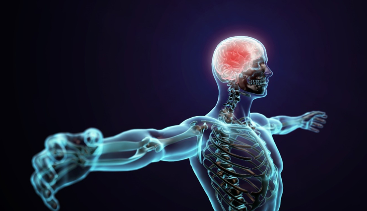 plum fruit,health benefits of plum fruit,Health tips,fitness tips