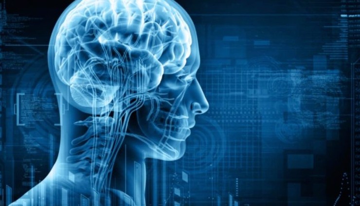 plums,health benefits of eating plums,Health tips,fitness tips