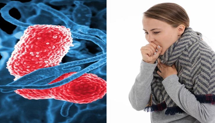 इन लक्षणों से होती हैं निमोनिया की पहचान, जानें और रहें नए साल में सुरक्षित