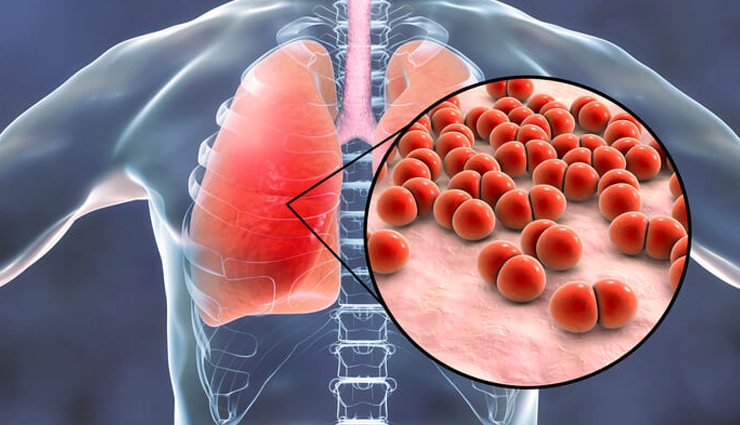 irish moss health benefits,sea moss benefits,health benefits of sea moss,irish moss superfood,benefits of irish moss for skin,irish moss immune system,irish moss digestion,irish moss anti-inflammatory,irish moss vitamins and minerals,irish moss for healthy hair and nails