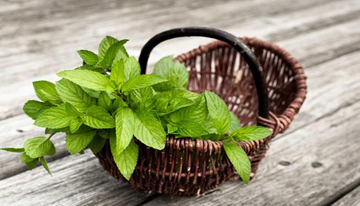 beauty tips,beauty tips in hindi,body odour,home remedies