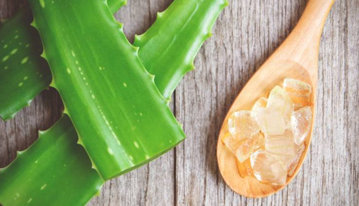 poison ivy,home remedies for poison ivy,Health tips,fitness tips