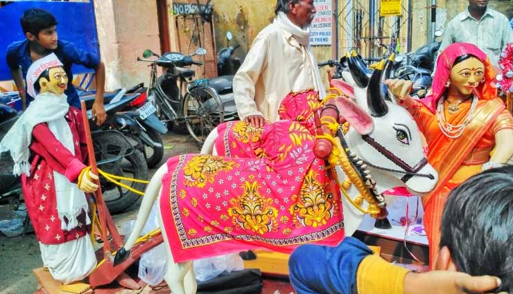 maharashtra,bull swallowed mangalsutra,pola festival,weird news in hindi