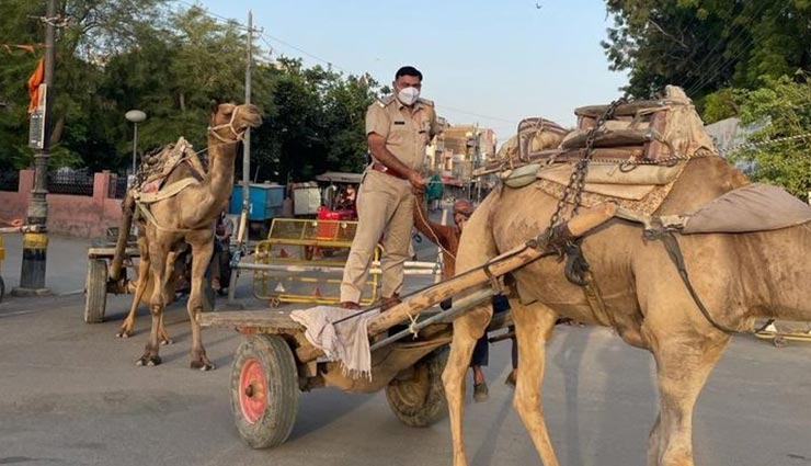 बीकानेर : ऊंट गाड़ी पर गश्त करते थानेदार की फोटो हुई वायरल, कहा- बचपन के दिन आ गए याद 
