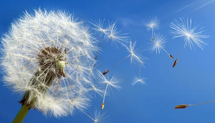 mother and son bonding activities,fun date ideas for mom and son,strengthening the mother-son bond,activities to connect mom and son,quality time ideas for mom and son,mom and son bonding date ideas,building a strong bond between mother and son,creative ways to strengthen mom-son relationship,meaningful mother-son bonding experiences,memorable mom and son date ideas,nurturing the mom-son connection,enjoyable activities for mom and son bonding,enhancing the mother-son relationship,unforgettable moments for mom and son,mom and son quality time suggestions,foster a strong bond between mom and son,connecting deeply with mom and son,mom-son relationship building through activities,special dates for mom and son,strengthening family ties: mom and son edition