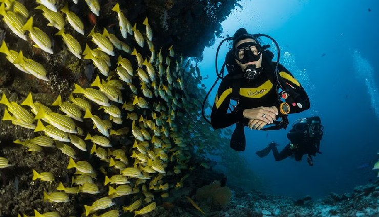 water sports destinations india,top water sports in india,goa water sports,rishikesh rafting,andaman scuba diving,karnataka surfing,ladakh river rafting,sikkim darjeeling rafting,arunachal pradesh kayaking,chennai sailing,mumbai water sports,pondicherry diving,best water sports in india,adventure sports in india,water activities in india