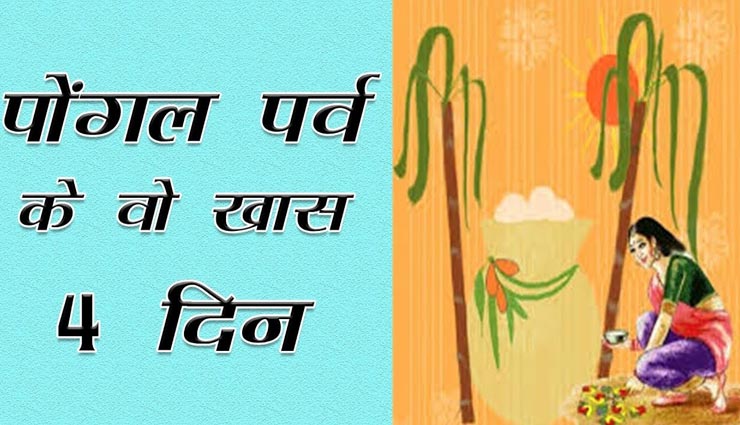 लगातार 4 दिन तक मनाया जाता हैं पोंगल, जानें इसके प्रकार के बारे में