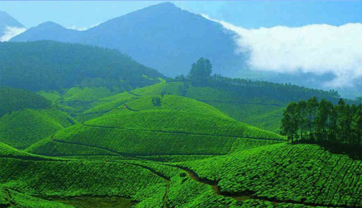 सुखद मौसम और प्राकृतिक सुंदरता का संगम है केरल का पोनमुडी राज्य  