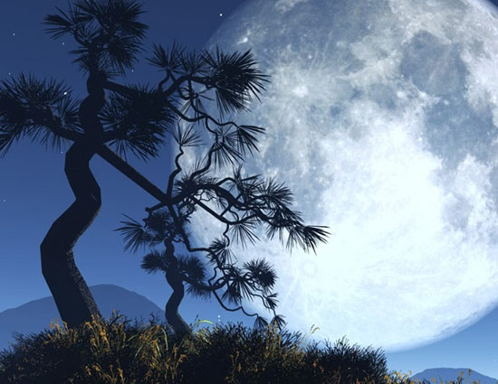 सुख समृद्ध जीवन दिलातें है पूर्णिमा के दिन किए ये टोटके