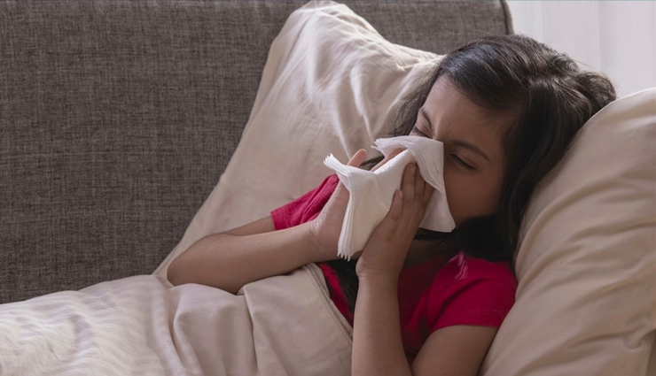 health benefits of soy,soy nutritional benefits,soy protein benefits,soy for heart health,soy and bone health,soy for weight loss,soy and cancer prevention,soy for digestive health,soy and blood sugar control,soy for skin health