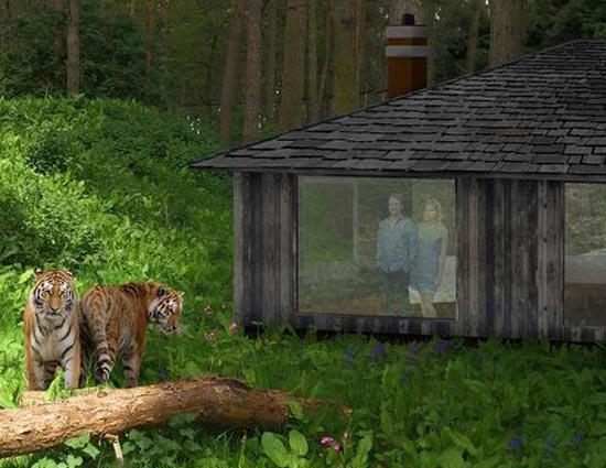 A Hotel Where You Can Spend Night With Tiger's