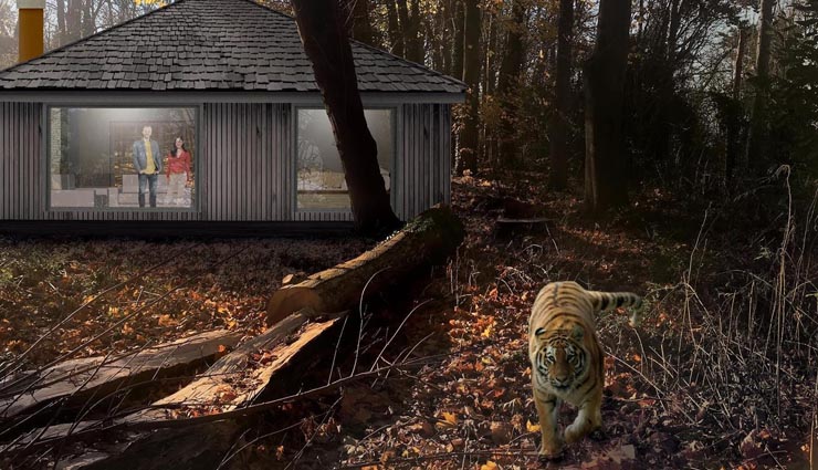 a hotel where you can spend night with tigers,place to visit in port lympne animal reserve