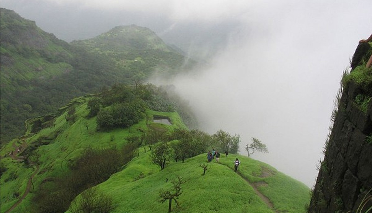valley of flowers,uttarakhand,munnar tea estate,kerala,lonavla hill station,maharashtra,kanha national park,madhya pradesh,shillong waterfalls,meghalaya,madgaon beach,goa,post monsoon places in india,places to visit in india,india