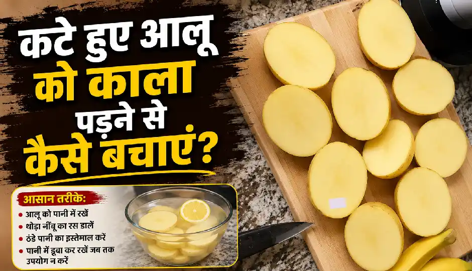 कटे हुए आलू को काला पड़ने से कैसे बचाएं? जानें कितनी देर तक रहेंगे ताजा और फ्रेश