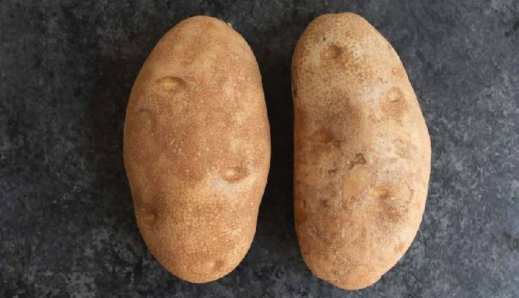 samosa,aloo samosa,samosa ingredients,samosa recipe,samosa dish,samosa at home,samosa halwai,chatpata samosa