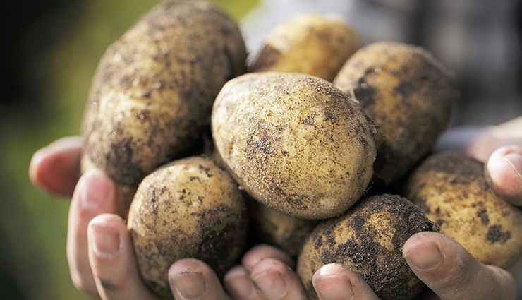 household,potato,house cleanser,starch,rust,stain remover,king of vegetables