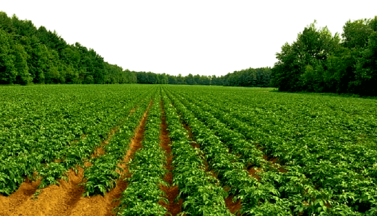 dhanaulti tourist attractions,dhanaulti travel guide,places to visit in dhanaulti,dhanaulti sightseeing spots,dhanaulti hill station,surkanda devi temple dhanaulti,dhanaulti eco park,adventure activities in dhanaulti,tehri dam dhanaulti,dhanaulti camping sites,dashavatar temple dhanaulti,deogarh fort dhanaulti,potato farm dhanaulti,beautiful places in dhanaulti,dhanaulti travel tips,dhanaulti offbeat destinations,best time to visit dhanaulti,dhanaulti weekend getaway,dhanaulti holiday destinations,things to do in dhanaulti