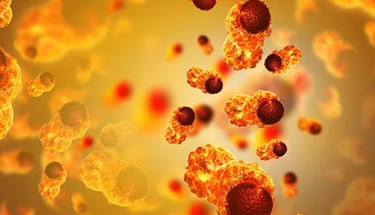 Potatoes,health benefits of eating potatoes,Health tips,fitness tips