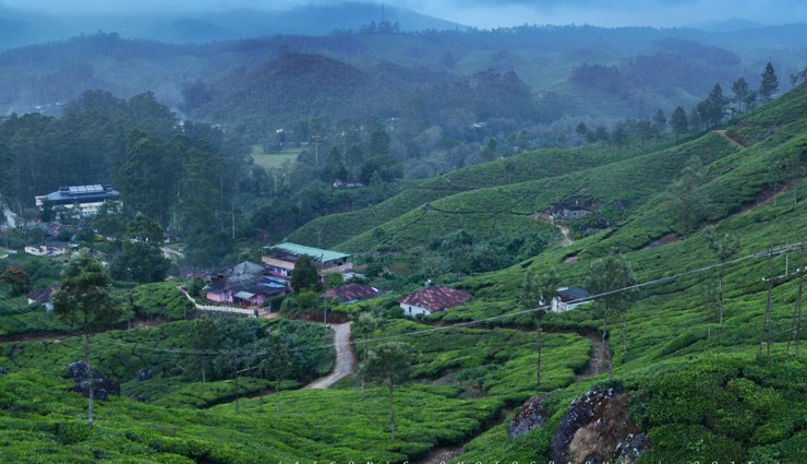 munnar,munnar travel guide,munnar travel,munnar tourism,places to visit near munnar,attukal waterfalls,blossom park,pothamedu view point,tata tea museum,kundala lake,travel,tourism,travel tips