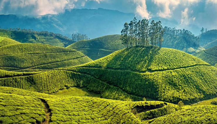 munnar tourist places,beautiful places in munnar,best places to visit in munnar,top attractions in munnar,munnar hill station,things to do in munnar,places to explore in munnar,munnar waterfalls,munnar trekking spots,munnar national parks,kerala hill stations