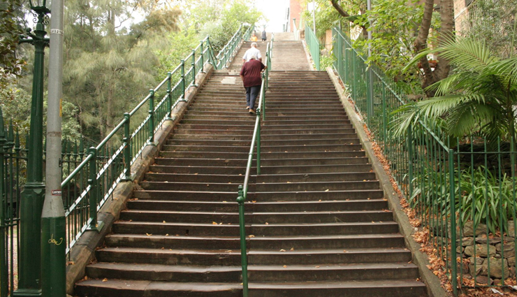 potts point,sydney,things to do at potts point,picnic date at garden island,elizabeth bay house,woolloomooloo wharf,artwork at artspace,el alamein war memorial fountain,mcelhone stairs