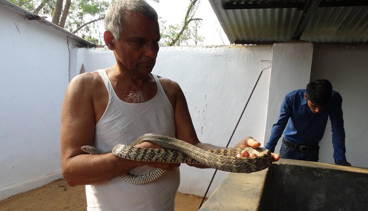 dr prakash amte,dr mandakini amte