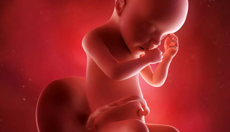 अलट्रा साउंड के बिना इन संकेतो से जानें गर्भ में पल रहा बच्चा लड़का है या लड़की predicting baby gender without ultrasound,knowing baby sex without ultrasound,gender prediction methods without ultrasound,how to tell baby gender without ultrasound,predicting boy or girl in the womb without ultrasound,methods for determining fetal gender without ultrasound,non-ultrasound ways to know baby sex in womb,techniques to guess baby gender without ultrasound,baby gender identification without ultrasound,can you know baby gender without ultrasound?,अलट्रा साउंड के बिना इस तरह जानें गर्भ में पल रहा बच्चा लड़का है या लड़की