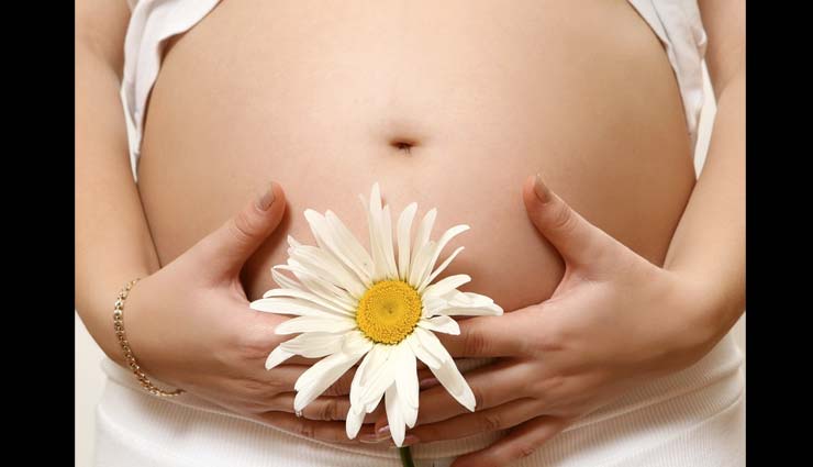 home remedies,home remedies to get pregnant,pregnancy tips,Health tips,fitness tips