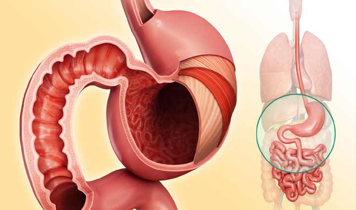 benefits of drinking water during pregnancy,Health,healthy living