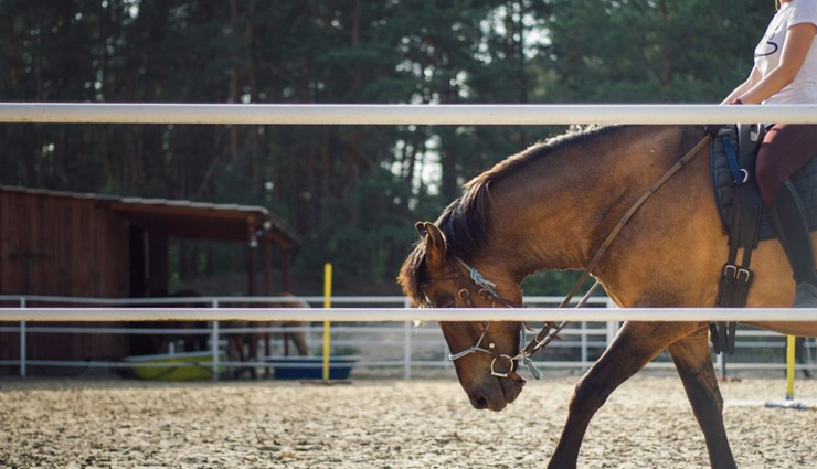 pregnant,activities to avoid when pregnant,pregnancy tips,Health tips,fitness tips