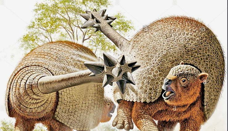 10 हजार साल पुराने ग्लाइप्टोडॉन्ट जानवर का बुलेट प्रूफ शेल मिला argentia,glyptodont shell discovered at ezeiza,greater buenos aires in argentina,weird news,weird news in hindi