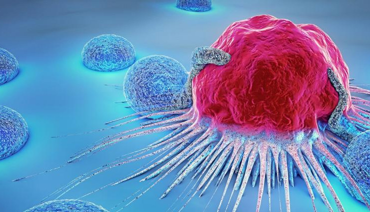 corn,corn health benefits,health benefits of eating corn,corn prevents hemorrhoids,corn weight gain,corn prevents cancer,corn prevents anemia,corn improves eye health,Health,health benefits,Health tips