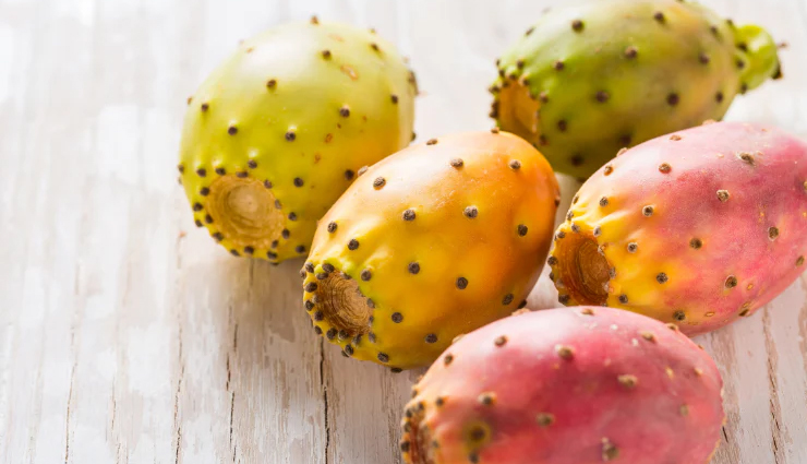 10 Least Benefits of Prickly Pear Seed Oil for Skin