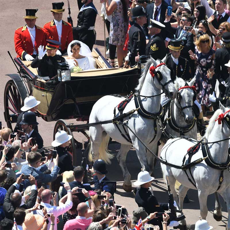 meghan markle,prince harry,marriage,royal wedding,uk prince harry,american actress meghan markle,meghan markle prince harry,priyanka chopra