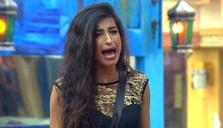 bigg boss 11,bigg boss news,top controversial contestants of bigg boss,prince narula,kushal tandon,ali quli mirza,rakhi sawant,krk,dolly bindra,priyanka jagga,swami om