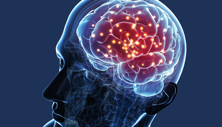 portobello mushroom nutrients,portobello mushroom immune system,portobello mushroom heart health,portobello mushroom anti-inflammatory,portobello mushroom bone health,portobello mushroom weight management,portobello mushroom brain function,portobello mushroom digestion,portobello mushroom cancer prevention,portobello mushroom anti-aging