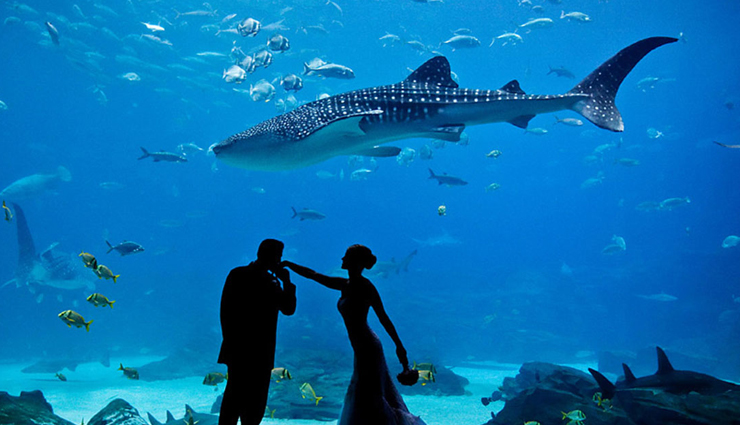 engagement proposal,engagement proposal tips,ideas for engagement proposal,marriage tips,marriage proposal ideas,relationship,relationship tips