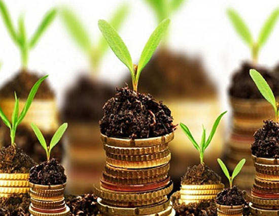 मिट्टी का छोटा घड़ा ला सकता है आपके जीवन में कई खुशियाँ, जाने कुछ और वस्तुओं के बारें में