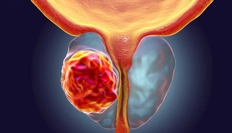 buffalo,buffalo meat,health benefits of buffalo meat,buffalo meat healthy food,healthy food buffalo meat,Health,Health tips